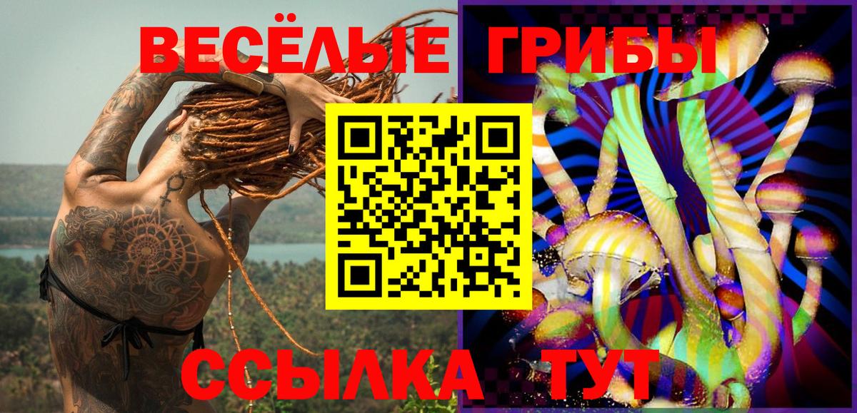 Псилоцибиновые грибы мухоморы Ярославль