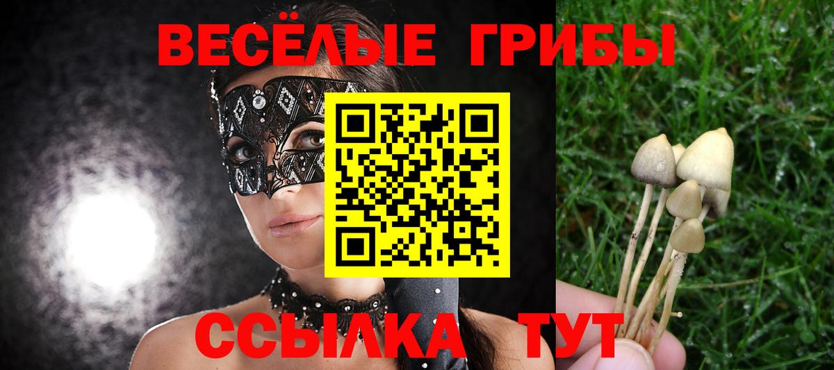 Галлюциногенные грибы прущие грибы  Вход с VPN  Ярославль 